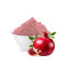 Pomegranate Juice Powder